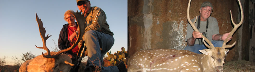 Wild Boar Hunts