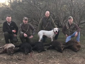 3 Day hog hunting Trip