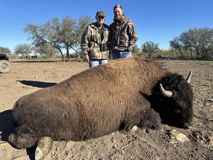 Buffalo Hunting Trip in Texas