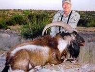 American Ibex Hunts with professional hunting guide Dan Moody Hunting Services in Texas