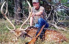 Axis Hunts with professional hunting guide Dan Moody Hunting Services in Texas