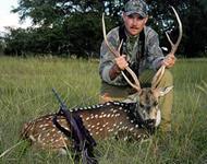 Axis Hunts with professional hunting guide Dan Moody Hunting Services in Texas