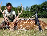 Axis Hunts with professional hunting guide Dan Moody Hunting Services in Texas