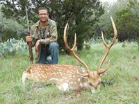 Axis Hunts with professional hunting guide Dan Moody Hunting Services in Texas