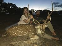 Axis Hunts with professional hunting guide Dan Moody Hunting Services in Texas