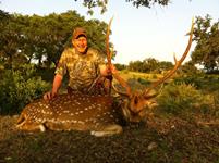 Axis Hunts with professional hunting guide Dan Moody Hunting Services in Texas