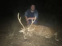 Axis Hunts with professional hunting guide Dan Moody Hunting Services in Texas