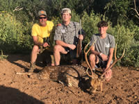 Axis Hunts with professional hunting guide Dan Moody Hunting Services in Texas