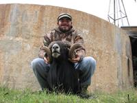 Black Hawaiian Hunts with professional hunting guide Dan Moody Hunting Services in Texas