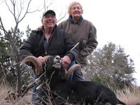 Black Hawaiian Hunts with professional hunting guide Dan Moody Hunting Services in Texas