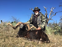 Black Hawaiian Hunts with professional hunting guide Dan Moody Hunting Services in Texas