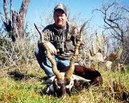 Blackbuck Hunts with professional hunting guide Dan Moody Hunting Services in Texas
