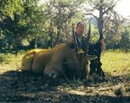 Eland Hunts with professional hunting guide Dan Moody Hunting Services in Texas