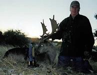 Fallow Hunts with professional hunting guide Dan Moody Hunting Services in Texas