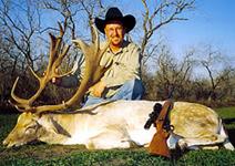 Fallow Hunts with professional hunting guide Dan Moody Hunting Services in Texas