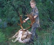 Fallow Hunts with professional hunting guide Dan Moody Hunting Services in Texas