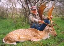 Fallow Hunts with professional hunting guide Dan Moody Hunting Services in Texas