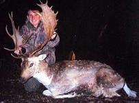 Fallow Hunts with professional hunting guide Dan Moody Hunting Services in Texas