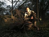 Fallow Hunts with professional hunting guide Dan Moody Hunting Services in Texas