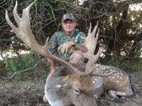 Fallow Hunts with professional hunting guide Dan Moody Hunting Services in Texas