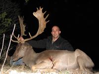Fallow Hunts with professional hunting guide Dan Moody Hunting Services in Texas