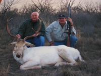 Fallow Hunts with professional hunting guide Dan Moody Hunting Services in Texas