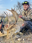 Fallow Hunts with professional hunting guide Dan Moody Hunting Services in Texas