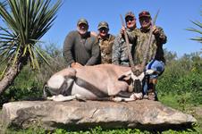 Gemsbok Hunts with professional hunting guide Dan Moody Hunting Services in Texas