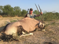 Gemsbok Hunts with professional hunting guide Dan Moody Hunting Services in Texas