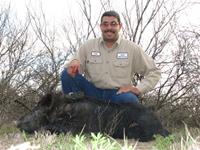 Wild Hog Hunts with professional hunting guide Dan Moody Hunting Services in Texas