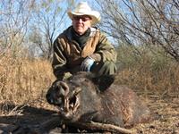 Wild Hog Hunts with professional hunting guide Dan Moody Hunting Services in Texas