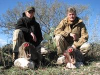 Javalina Hunts with professional hunting guide Dan Moody Hunting Services in Texas