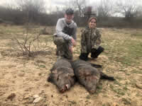 Javalina Hunts with professional hunting guide Dan Moody Hunting Services in Texas