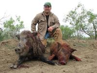 Meat Hog Hunts with professional hunting guide Dan Moody Hunting Services in Texas