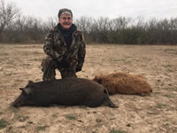 Meat Hog Hunts with professional hunting guide Dan Moody Hunting Services in Texas