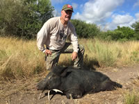 Meat Hog Hunts with professional hunting guide Dan Moody Hunting Services in Texas