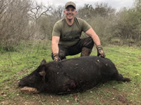 Meat Hog Hunts with professional hunting guide Dan Moody Hunting Services in Texas