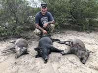 Meat Hog Hunts with professional hunting guide Dan Moody Hunting Services in Texas