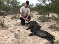 Meat Hog Hunts with professional hunting guide Dan Moody Hunting Services in Texas