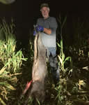 Meat Hog Hunts with professional hunting guide Dan Moody Hunting Services in Texas
