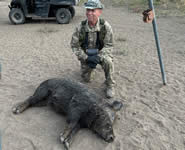 Meat Hog Hunts with professional hunting guide Dan Moody Hunting Services in Texas