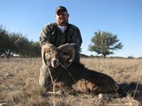 Mouflon Hunts with professional hunting guide Dan Moody Hunting Services in Texas