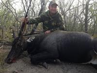 Nilgai Hunts with professional hunting guide Dan Moody Hunting Services in Texas