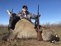 Nilgai Hunts with professional hunting guide Dan Moody Hunting Services in Texas