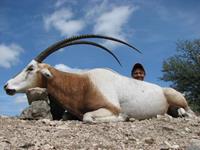 Oryx Hunts with professional hunting guide Dan Moody Hunting Services in Texas