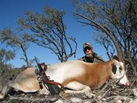 Oryx Hunts with professional hunting guide Dan Moody Hunting Services in Texas