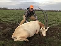 Oryx Hunts with professional hunting guide Dan Moody Hunting Services in Texas