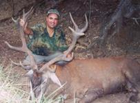Red Stag Hunts with professional hunting guide Dan Moody Hunting Services in Texas