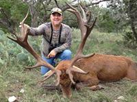 Red Stag Hunts with professional hunting guide Dan Moody Hunting Services in Texas