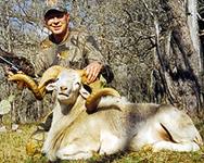 Texas Dall Hunts with professional hunting guide Dan Moody Hunting Services in Texas